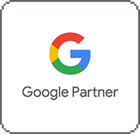 Consulente Google Partner Michele Pelosi